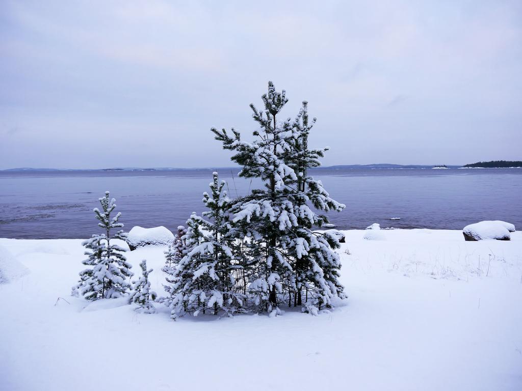 Pielislinna Koli  Exterior photo