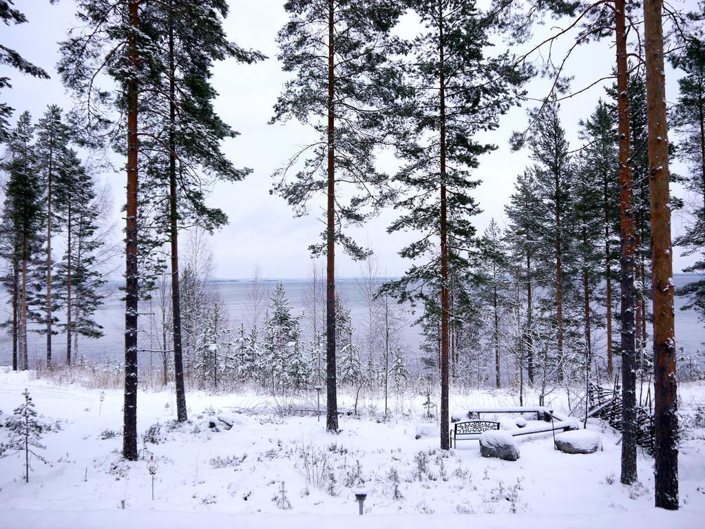 Pielislinna Koli  Exterior photo